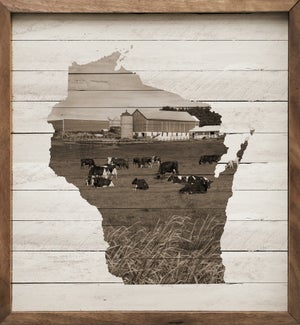 Weathered Wisconsin Cattle